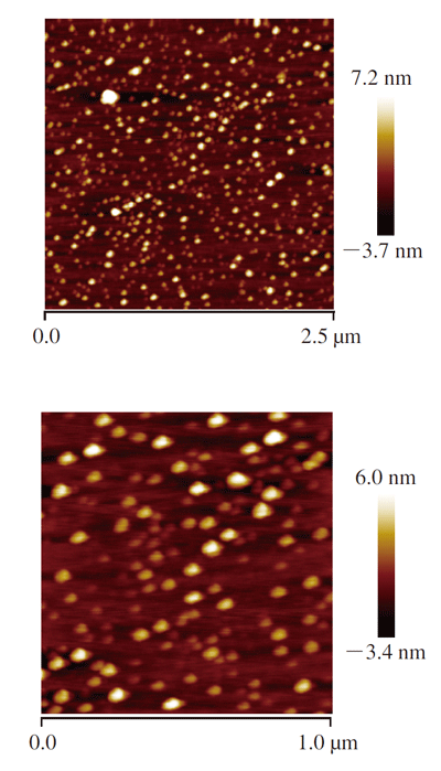 复合稳定的纳米乳液原子力显微镜图