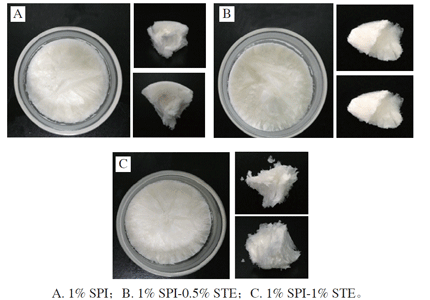 SPI-STE复合稳定的纳米乳液经冻干处理后制得的结构化油脂外观图
