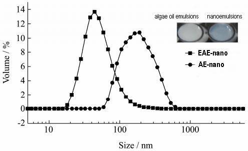 nanoparticles distribution and  their appearances of EAE-nano and AE-nano.jpg