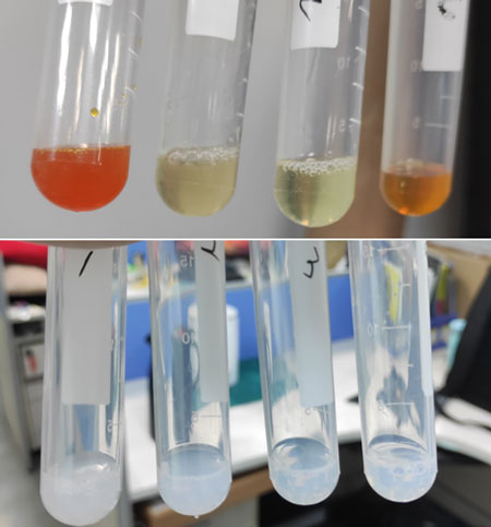为什么越来越多美白化妆品中应用到脂质体,脂质纳米粒,微脂体等纳米