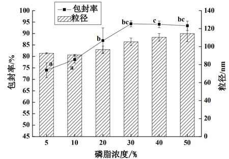 磷脂浓度对油状活性物A纳米脂质体包封率和粒径的影响