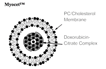 苏州微流纳米生物技术有限公司