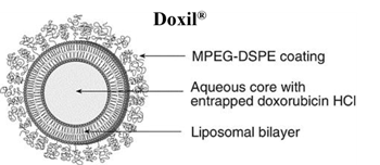 阿霉素脂质体doxil磷脂结构示意图