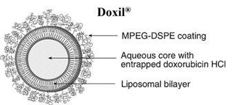 阿霉素脂质体Doxil磷脂结构示意图