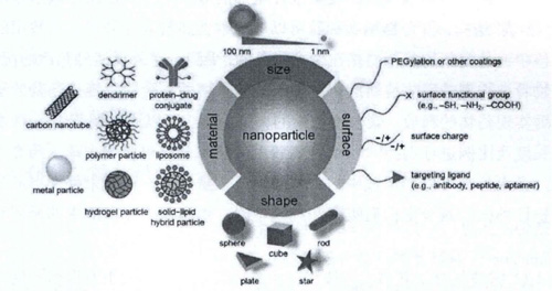 图 用于药物递送的纳米材料及其功能化修饰