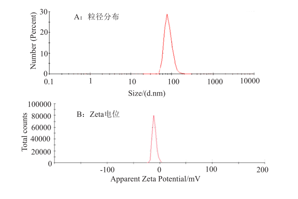  Dios-SLN粒径分布和Zeta电位