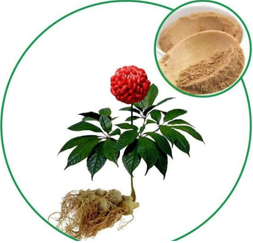 三七皂苷