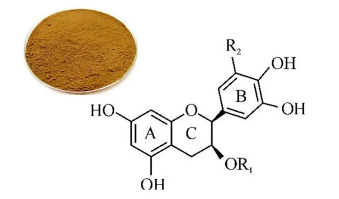 高压均质法制备茶多酚脂质体-技术日志-苏州微流纳米生物技术