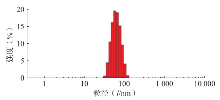 PTX-PA/Lip 纳米给药系统的粒径及其分布