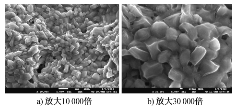 甜橙油纳米微胶囊的扫描电镜图 甜橙油纳米微胶囊的扫描电镜图