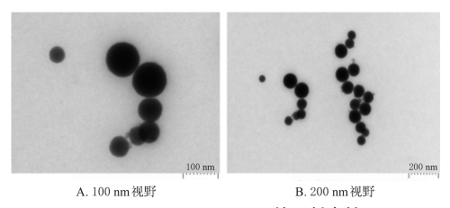 BBR/PIP-SMEDDS的透射电镜图