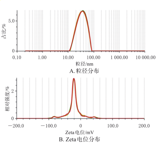 BBR/PIP-SMEDDS的粒径和Zeta电位分布