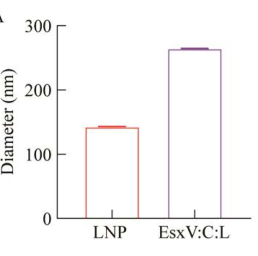 LNP粒径分布